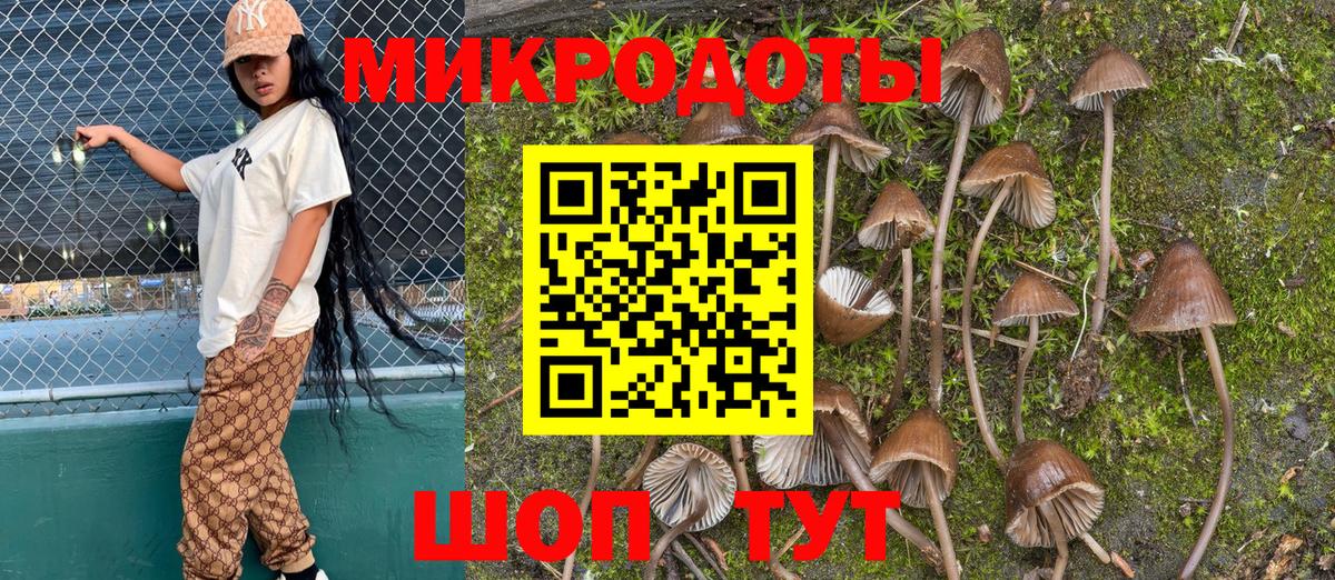 Галлюциногенные грибы Cubensis Елабуга