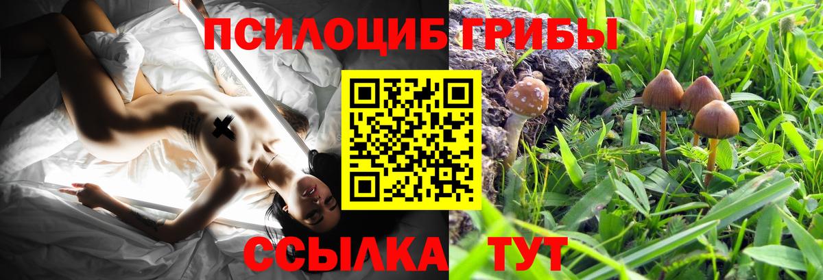 Елабуга  Галлюциногенные грибы мицелий  Вход с VPN 